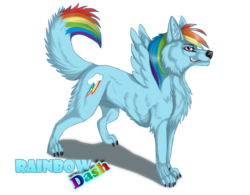 Size: 926x723 | Tagged: safe, artist:suzamuri, rainbow dash, dog, g4, female, rainbow dog, simple background, solo, species swap, spread wings, transparent background, wings