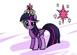 Size: 1754x1240 | Tagged: safe, artist:rambopvp, twilight sparkle, alicorn, pony, g4, big crown thingy, cutie mark, element of magic, female, frown, looking at you, mare, raised eyebrow, simple background, solo, standing, twilight sparkle (alicorn)