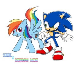 Size: 1290x1125 | Tagged: safe, artist:415sonic, rainbow dash, g4, crossover, male, sonic the hedgehog, sonic the hedgehog (series)