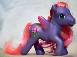 Size: 738x547 | Tagged: safe, photographer:lilcricketnoise, royal rose, g3, irl, photo, toy