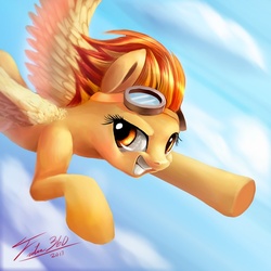 Size: 600x600 | Tagged: safe, artist:tsitra360, spitfire, pegasus, pony, g4, 2013, female, flying, signature, solo