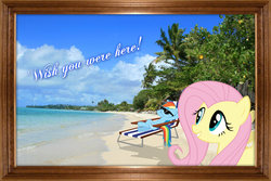 Size: 2000x1333 | Tagged: safe, artist:paris7500, fluttershy, rainbow dash, g4, beach, chair, frame, irl, photo, ponies in real life, shadow, vector