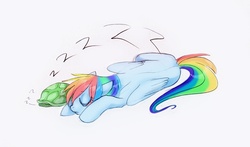 Size: 979x576 | Tagged: safe, artist:opalacorn, rainbow dash, tank, pegasus, pony, g4, duo, sleeping, zzz