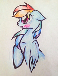 Size: 1024x1335 | Tagged: safe, artist:technicolor-confetti, rainbow dash, g4, female, solo, traditional art