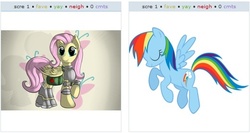 Size: 521x277 | Tagged: safe, fluttershy, rainbow dash, g4, exploitable meme, juxtaposition, juxtaposition win, meme