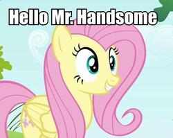Size: 656x523 | Tagged: safe, fluttershy, g4, bronybait, female, image macro, solo