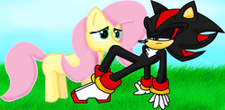 Size: 2637x1291 | Tagged: safe, artist:eliteyagami64, fluttershy, g4, crossover, male, shadow the hedgehog, sonic the hedgehog, sonic the hedgehog (series)