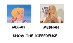 Size: 1337x796 | Tagged: safe, megan williams, g1, comic sans, comparison, know the difference, meghan mccarthy