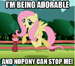Size: 421x371 | Tagged: safe, artist:mezkalito4p, edit, edited screencap, screencap, fluttershy, pegasus, pony, g4, may the best pet win, season 2, and nopony can stop me, animated, artifact, caption, cute, female, gif, i'm being adorable and no one can stop me!, image macro, meme, prancing, shyabetes, skipping, solo, swag, text, trotting