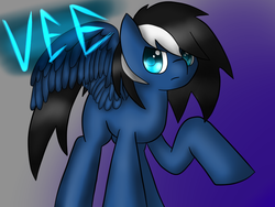 Size: 800x600 | Tagged: safe, artist:bow blitz, oc, oc only, oc:vee, pony, male, portrait, solo, stallion