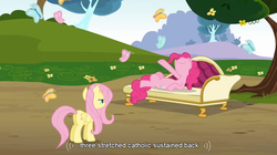 Size: 854x479 | Tagged: safe, screencap, fluttershy, pinkie pie, g4, youtube caption