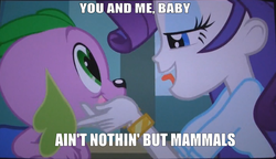 Size: 1427x821 | Tagged: safe, edit, edited screencap, screencap, rarity, spike, dog, equestria girls, g4, my little pony equestria girls, bloodhound gang, caption, female, heart eyes, image macro, male, meme, nostalgia orgasm thread, rarity's bad pickup lines, ship:sparity, shipping, song reference, spike the dog, straight, text, the bad touch