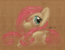 Size: 1045x820 | Tagged: safe, artist:getchanoodlewet, fluttershy, g4, female, solo, traditional art