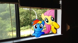 Size: 1920x1080 | Tagged: safe, artist:mr-kennedy92, fluttershy, rainbow dash, g4, blinds, forest, looking in, ponies in real life, vector, window