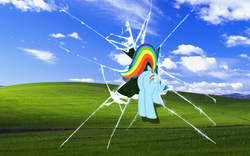 Size: 1920x1200 | Tagged: safe, artist:drahkenkahn, rainbow dash, g4, bliss xp, butt, female, plot, solo, wallpaper, webcore, windows xp