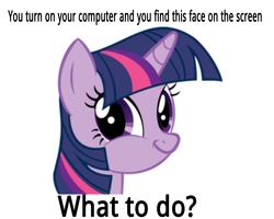 Size: 5000x4000 | Tagged: safe, twilight sparkle, pony, g4, bronybait, computer, female, mare, solo, text, twiface