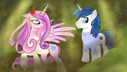 Size: 7000x4000 | Tagged: safe, artist:breezethepony, princess cadance, shining armor, g4, blushing, clothes, forest, shirt, smiling