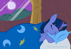 Size: 1590x1100 | Tagged: safe, artist:xxakeiralen, twilight sparkle, g4, bed, blanket, female, golden oaks library, sleeping, solo