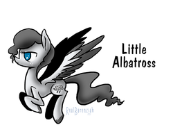 Size: 800x618 | Tagged: safe, artist:realbarenziah, oc, oc only, oc:little albatross, solo