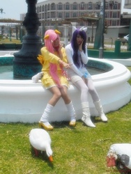 Size: 555x740 | Tagged: safe, fluttershy, rarity, duck, human, g4, cosplay, irl, irl human, photo