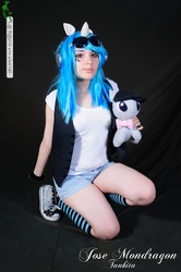 Size: 491x740 | Tagged: artist needed, safe, dj pon-3, octavia melody, vinyl scratch, human, g4, cosplay, irl, irl human, photo, plushie, solo