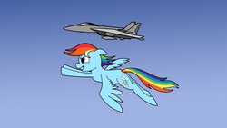 Size: 1920x1080 | Tagged: safe, rainbow dash, g4, 4chan, aircraft, f-14 tomcat, female, flying, jet, jet fighter, plane, solo