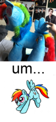 Size: 478x1040 | Tagged: safe, rainbow dash, g4, butt wings, irl, photo, plushie