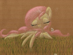 Size: 1280x967 | Tagged: safe, artist:getchanoodlewet, fluttershy, g4, female, solo