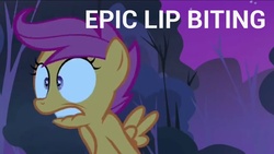 Size: 1280x721 | Tagged: safe, scootaloo, g4, sleepless in ponyville, epic, female, filly, foal, forest background, lip bite, night, solo