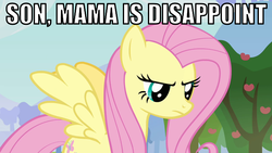 Size: 640x360 | Tagged: safe, edit, edited screencap, screencap, fluttershy, g4, keep calm and flutter on, disappoint, disappointed, female, fluttermom, image macro, solo, tough love