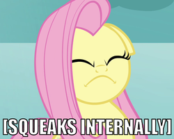 Size: 450x360 | Tagged: safe, fluttershy, g4, angry, constipated, descriptive noise, eyes closed, female, floppy ears, flutterfrown, frown, image macro, solo, squeak, x internally