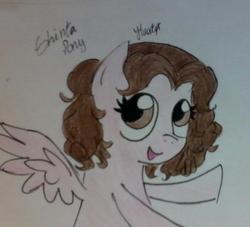 Size: 704x640 | Tagged: safe, artist:guaguitha123, oc, oc only, oc:shinta pony, solo