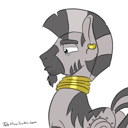 Size: 900x900 | Tagged: safe, artist:tateshaw, zecora, zebra, g4, rule 63, solo, zircon