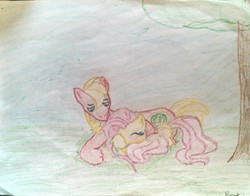 Size: 1784x1399 | Tagged: safe, big macintosh, fluttershy, earth pony, pony, g4, male, ship:fluttermac, shipping, stallion, straight, traditional art