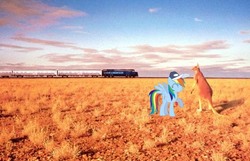 Size: 620x400 | Tagged: safe, artist:snakeman1992, rainbow dash, kangaroo, g4, australia, outback, ponies in real life, train, vector