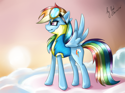 Size: 2892x2140 | Tagged: safe, artist:judianimation, rainbow dash, pegasus, pony, g4, female, mare, solo, wonderbolt trainee uniform