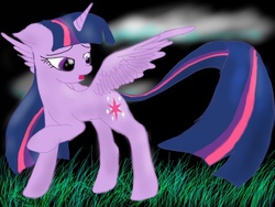 Size: 1024x768 | Tagged: safe, artist:bright-wing, twilight sparkle, alicorn, pony, g4, female, mare, solo, twilight sparkle (alicorn)