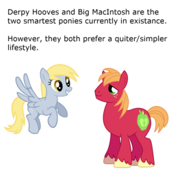 Size: 1000x1000 | Tagged: safe, big macintosh, derpy hooves, earth pony, pegasus, pony, g4, duo, duo male and female, female, headcanon, male, mare, missing accessory, simple background, stallion, text, transparent background, underp, unshorn fetlocks