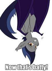 Size: 591x809 | Tagged: safe, oc, oc only, oc:echo, bat pony, pony, image macro, meme, pun, solo