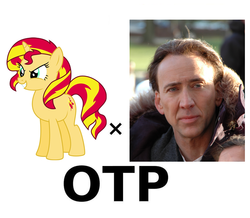 Size: 689x600 | Tagged: safe, sunset shimmer, human, pony, unicorn, equestria girls, g4, crack shipping, exploitable meme, homestuck, interspecies, make it happen, meme, meta, nicolas cage, otp