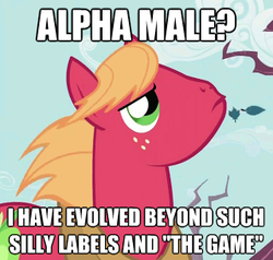 Size: 320x304 | Tagged: safe, big macintosh, earth pony, pony, g4, image macro, male, solo, stallion