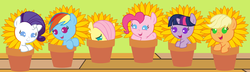 Size: 10400x3000 | Tagged: safe, artist:beavernator, applejack, fluttershy, pinkie pie, rainbow dash, rarity, twilight sparkle, pony, g4, anne geddes, babity, baby, baby dash, baby pie, baby pony, babyjack, babylight sparkle, babyshy, flower, flower pot, foal, mane six, sunflower