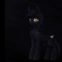 Size: 1068x1068 | Tagged: safe, artist:erijt, oc, oc only, oc:echo, bat pony, pony, solo