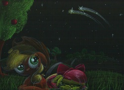 Size: 1230x894 | Tagged: safe, artist:getchanoodlewet, apple bloom, applejack, g4, night, shooting star, sleeping, traditional art