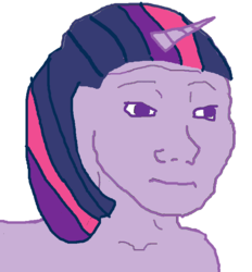 Size: 701x756 | Tagged: safe, twilight sparkle, g4, feels, female, meme, solo, wojak