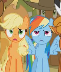 Size: 364x426 | Tagged: safe, screencap, applejack, braeburn, little strongheart, meadow song, rainbow dash, bison, buffalo, earth pony, pegasus, pony, g4, over a barrel, cropped, duo focus, female, mare, reaction image, spread wings, template, unsure, wingboner, wings