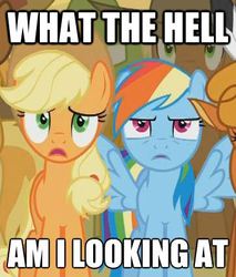 Size: 362x424 | Tagged: safe, edit, edited screencap, screencap, applejack, little strongheart, rainbow dash, bison, buffalo, earth pony, pegasus, pony, g4, over a barrel, cropped, duo focus, female, impact font, mare, reaction image, spread wings