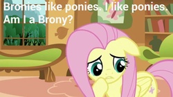 Size: 1280x718 | Tagged: safe, fluttershy, g4, brony, female, image macro, solo
