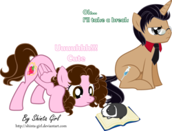 Size: 3478x2637 | Tagged: safe, artist:shinta-girl, oc, oc only, oc:shinta pony, hamster