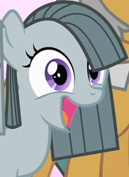 Size: 285x391 | Tagged: safe, screencap, igneous rock pie, marble pie, earth pony, pony, g4, the cutie mark chronicles, cropped, filly, happy, reaction image, smiling, solo focus, younger